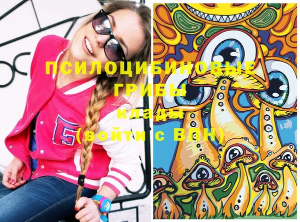 стафф Алексеевка