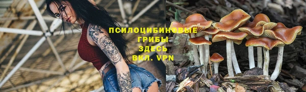 a pvp Алзамай